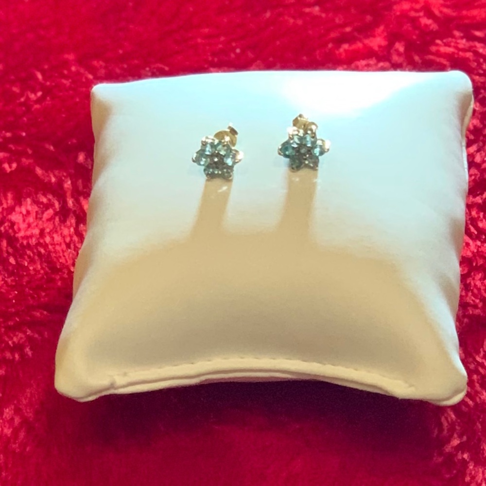 stud gold agua earrings